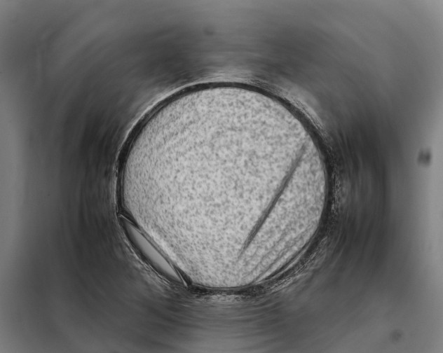 X0000098001268200804211121