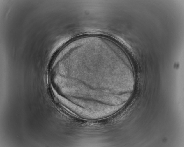 X0000098001269200804211121