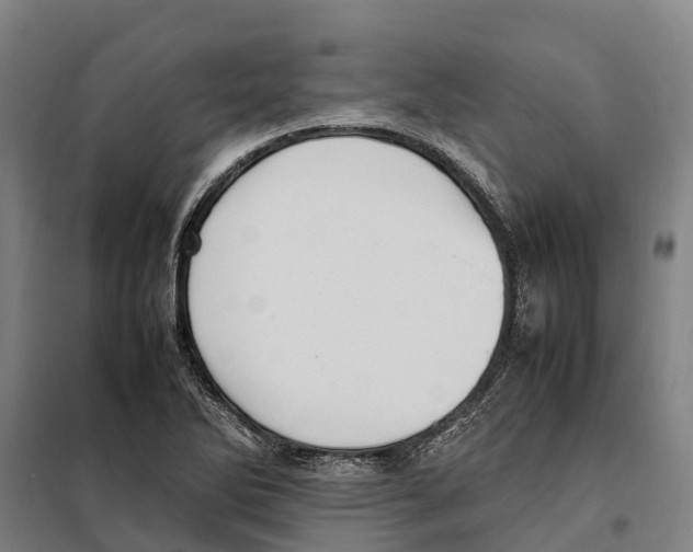 X0000098001270200804211121