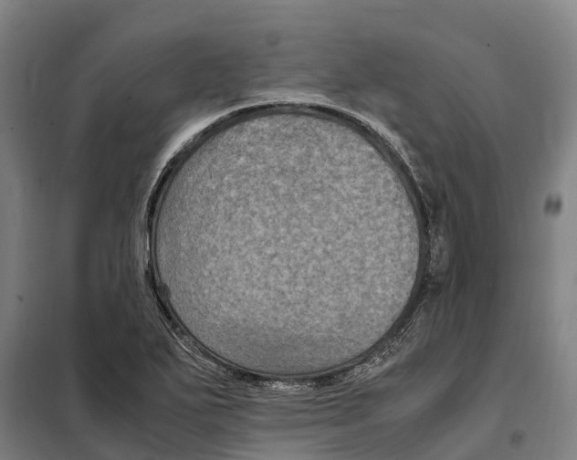 X0000098001271200804211121