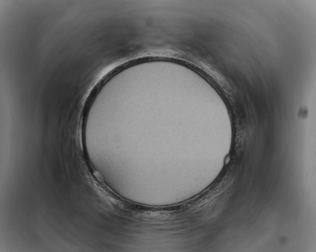 X0000098001272200804211121
