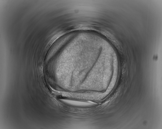 X0000098001273200804211121