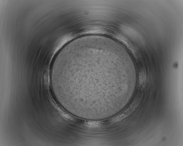 X0000098001274200804211121