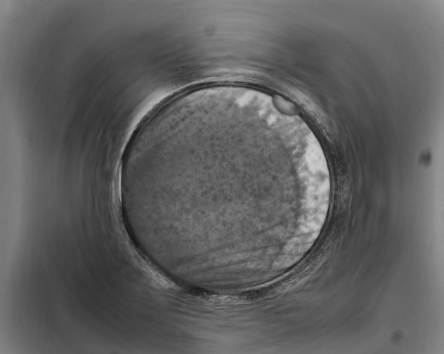 X0000098001275200804211121