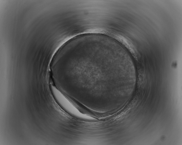 X0000098001276200804211121