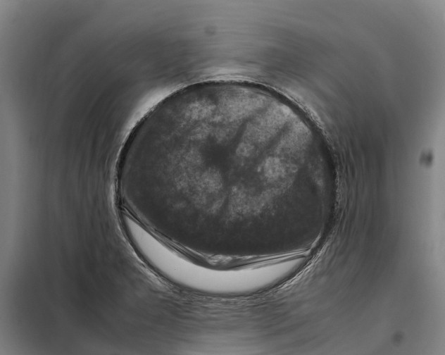 X0000098001277200804211121