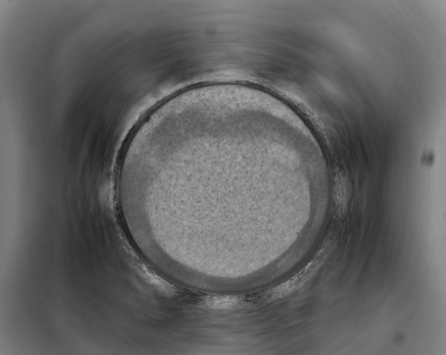 X0000098001278200804211121