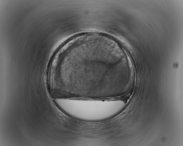 X0000098001279200804211121