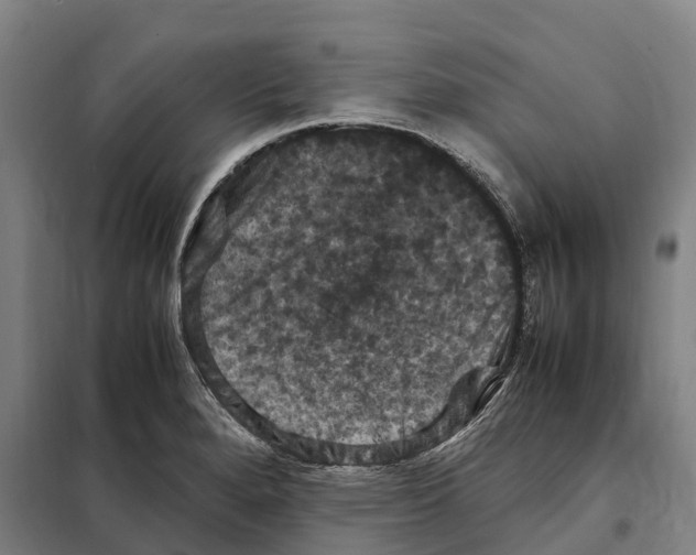 X0000098001280200804211121