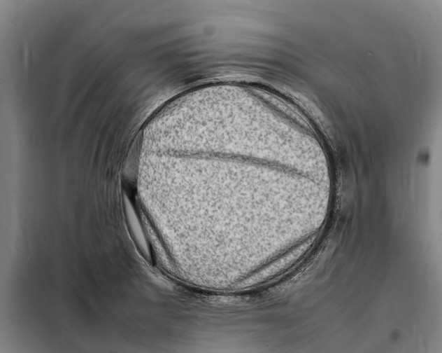 X0000098001281200804211121