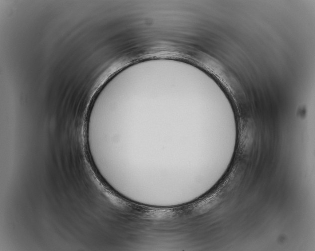 X0000098001282200804211121