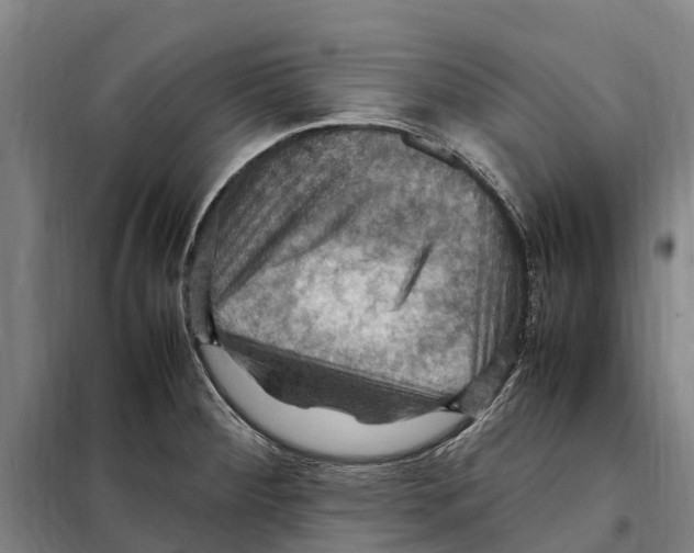 X0000098001284200804211121