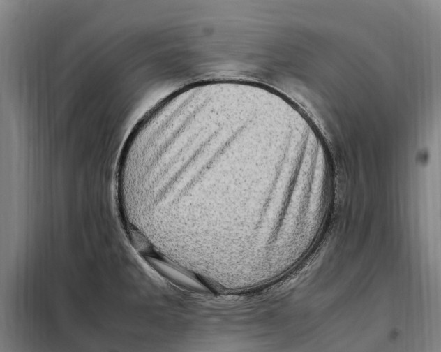 X0000098001285200804211121