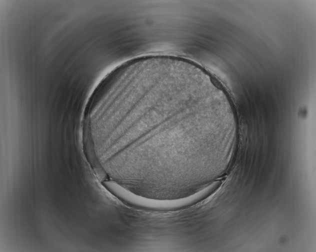 X0000098001288200804211121
