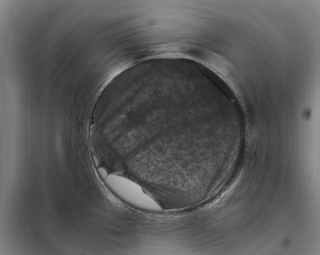 X0000098001289200804211121