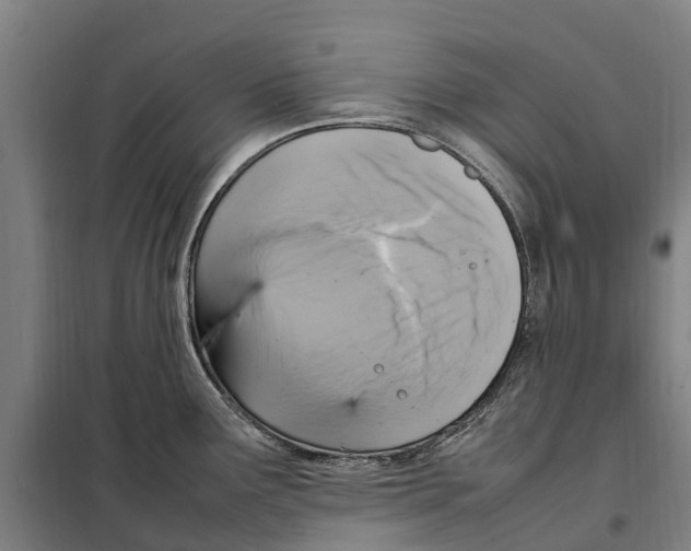 X0000098001291200804211121