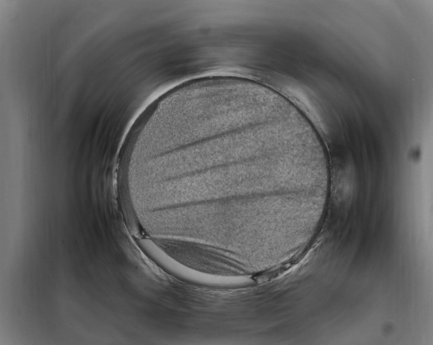 X0000098001292200804211121