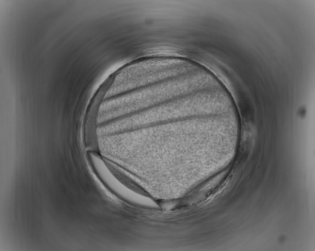 X0000098001293200804211121