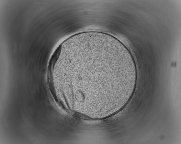 X0000098001296200804211121