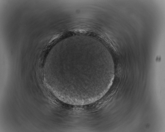 X0000098001297200804211120