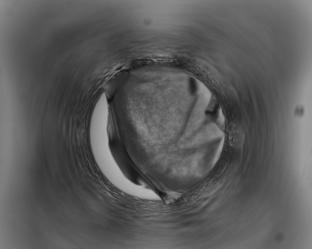 X0000098001298200804211120