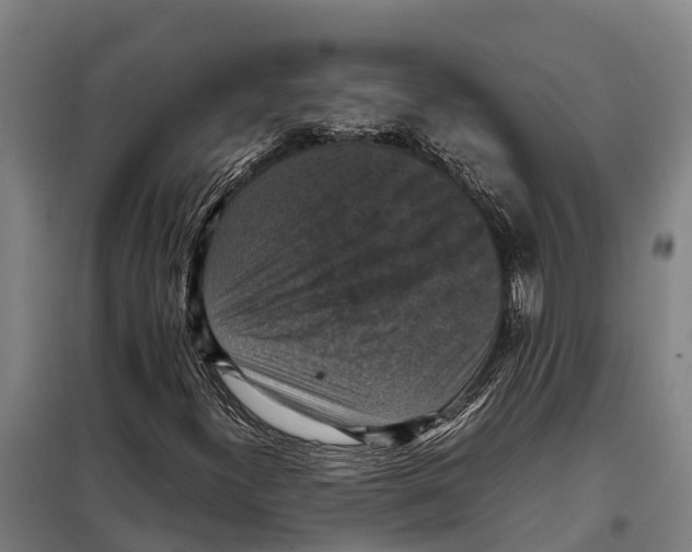 X0000098001300200804211120