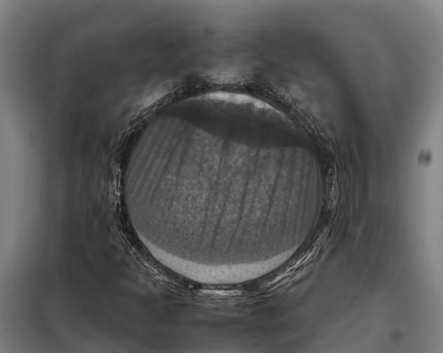 X0000098001301200804211120