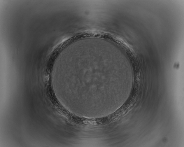 X0000098001302200804211120