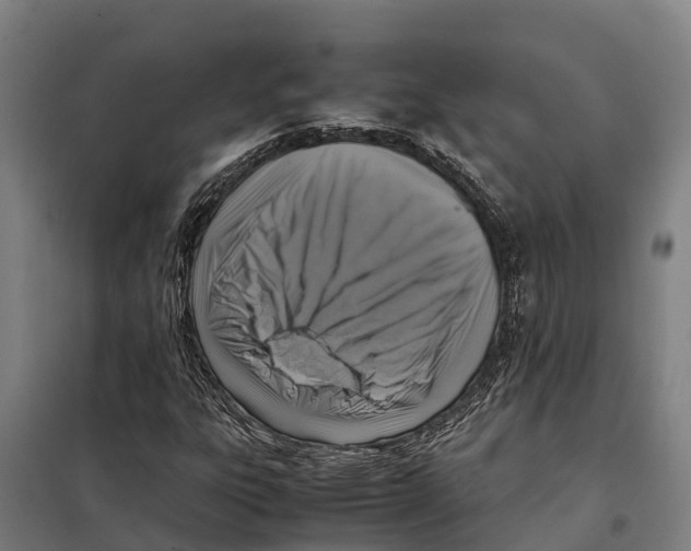 X0000098001303200804211120