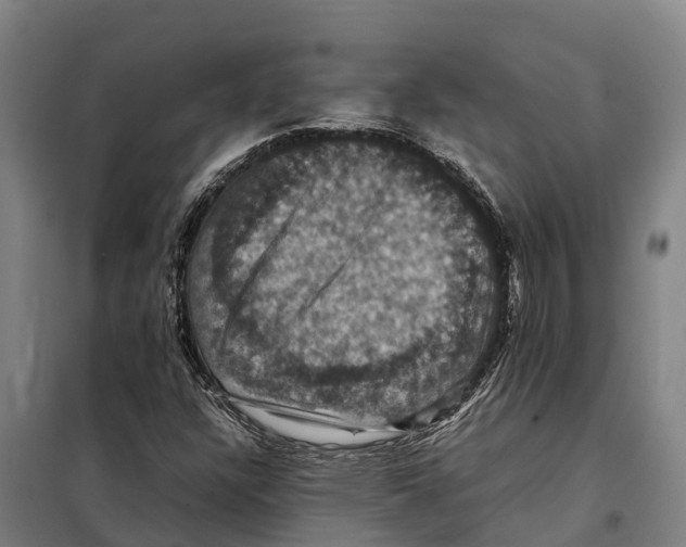 X0000098001304200804211120