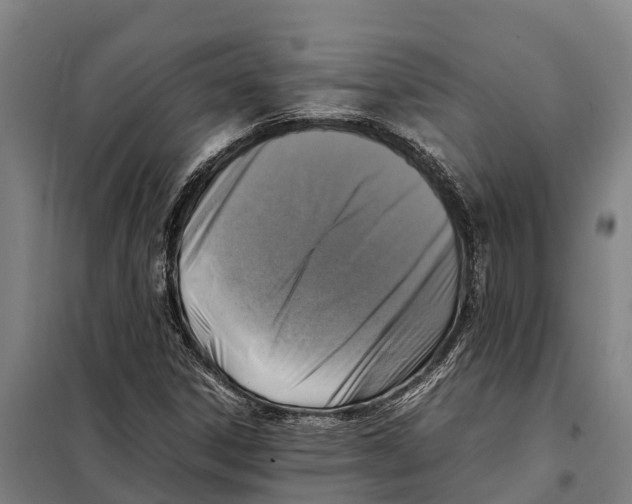X0000098001306200804211120