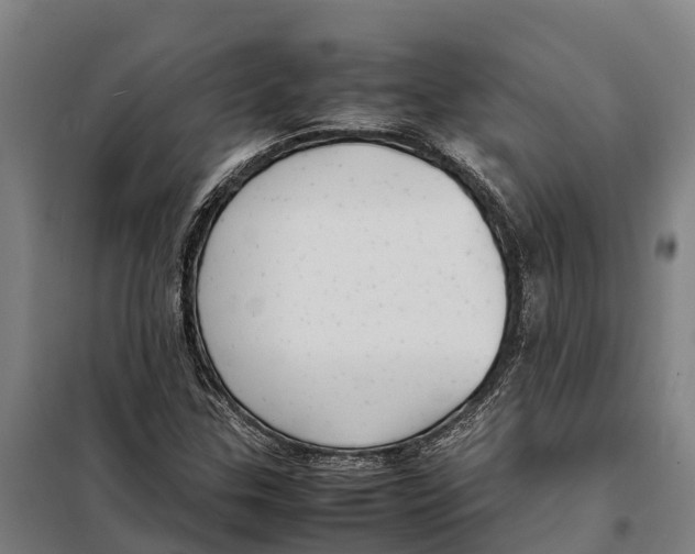 X0000098001307200804211120