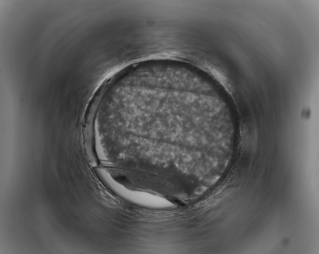 X0000098001308200804211120