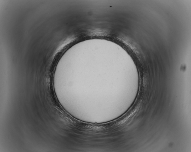X0000098001309200804211120