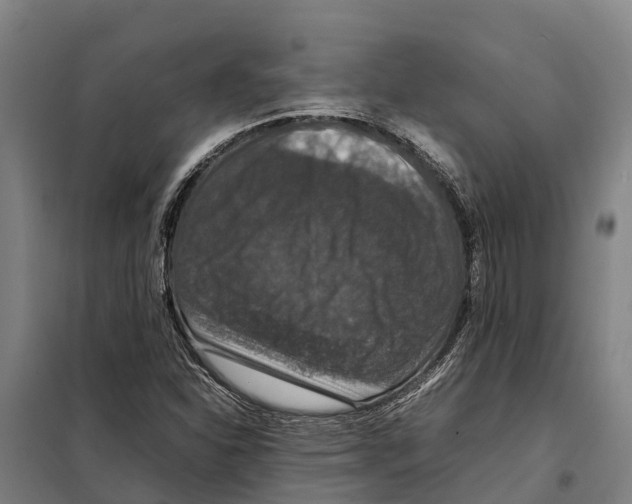 X0000098001310200804211120