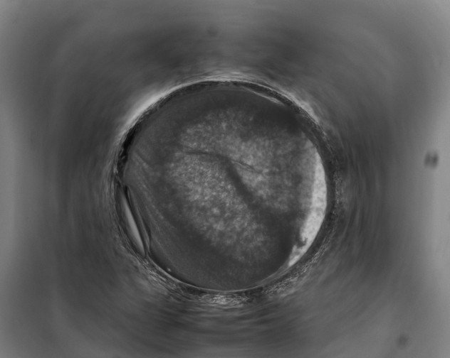X0000098001311200804211120