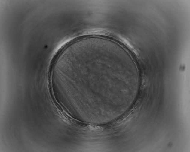 X0000098001312200804211120