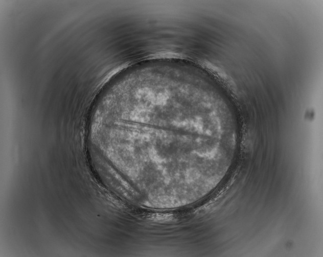 X0000098001313200804211120