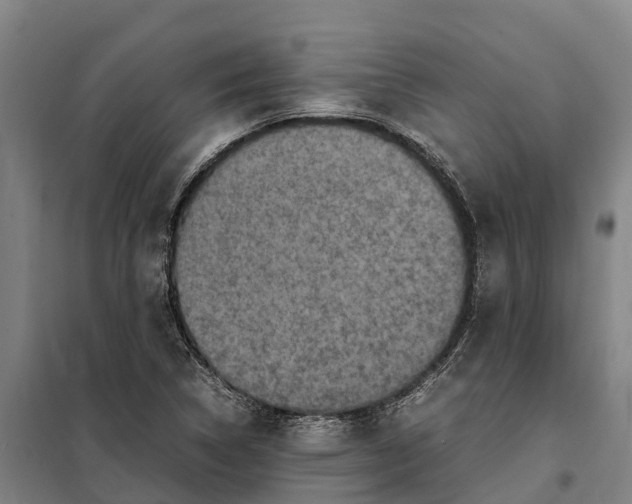 X0000098001314200804211120