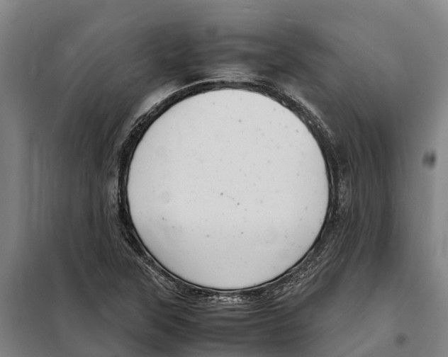 X0000098001315200804211120