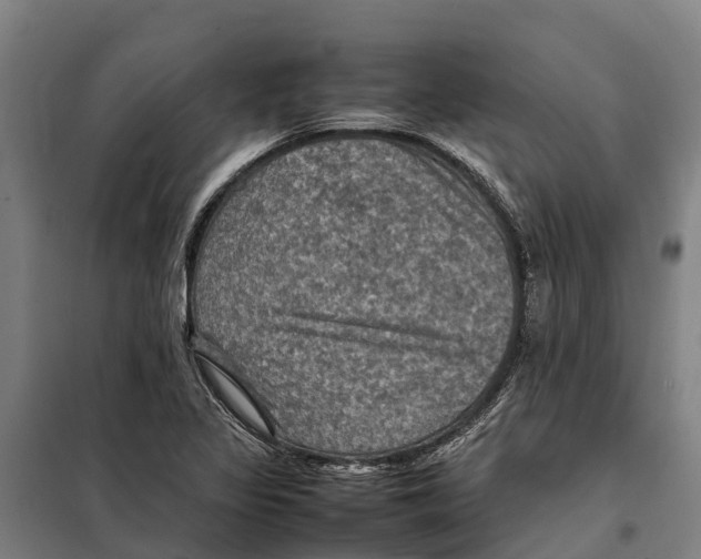 X0000098001317200804211120