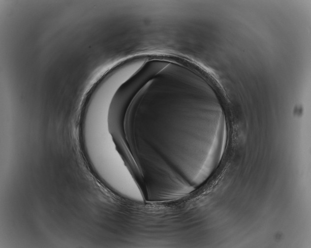X0000098001319200804211121