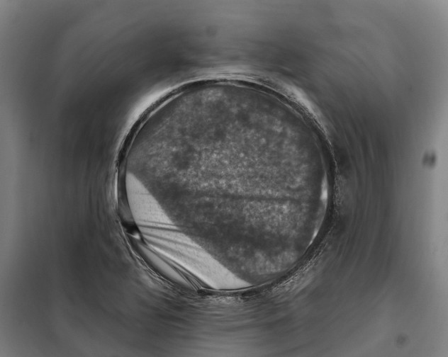 X0000098001320200804211121