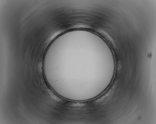 X0000098001321200804211121