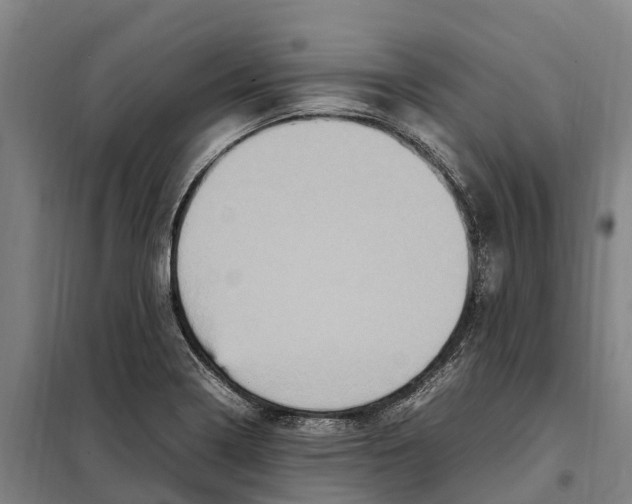 X0000098001322200804211121
