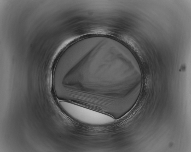 X0000098001323200804211121
