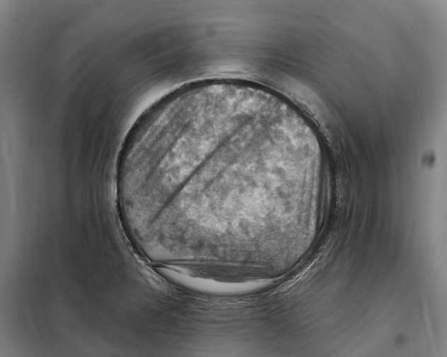 X0000098001328200804211121