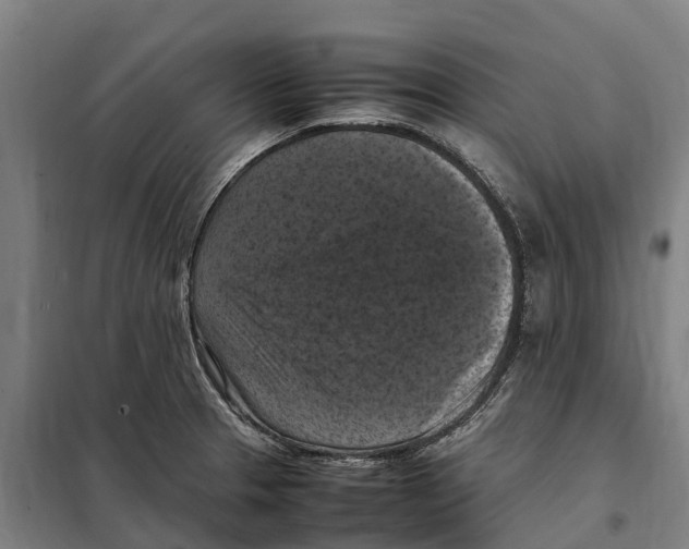 X0000098001329200804211121