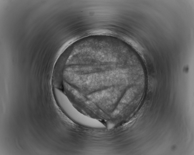 X0000098001330200804211121