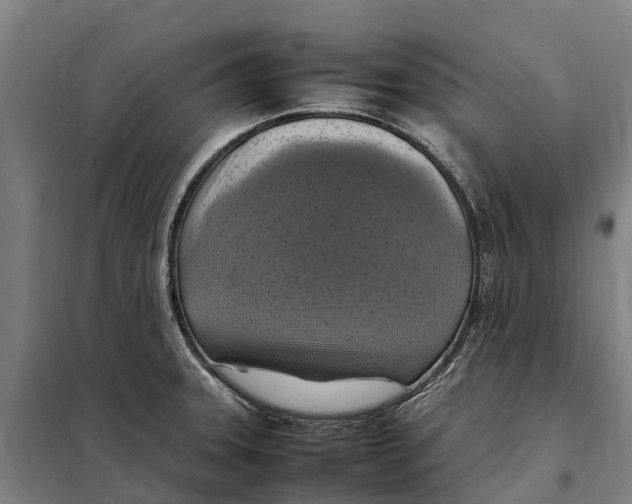 X0000098001331200804211121